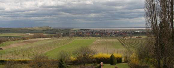 Region Neusiedler See