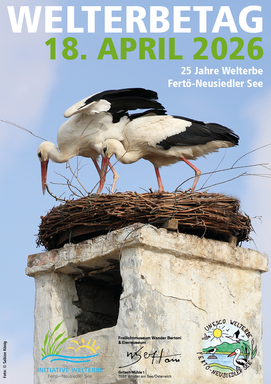 save the date 2026 save the date 2026